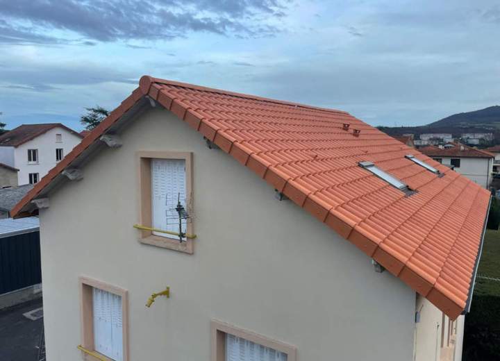 Démoussage de toiture Vichy