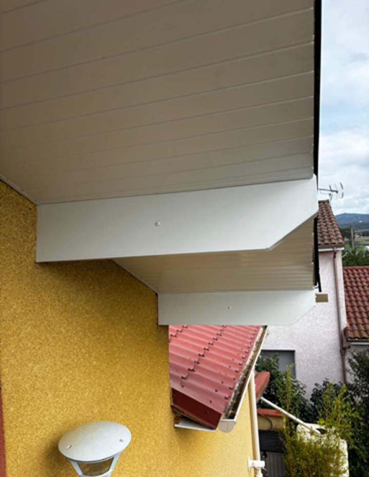 Nettoyage et démoussage toiture Vichy