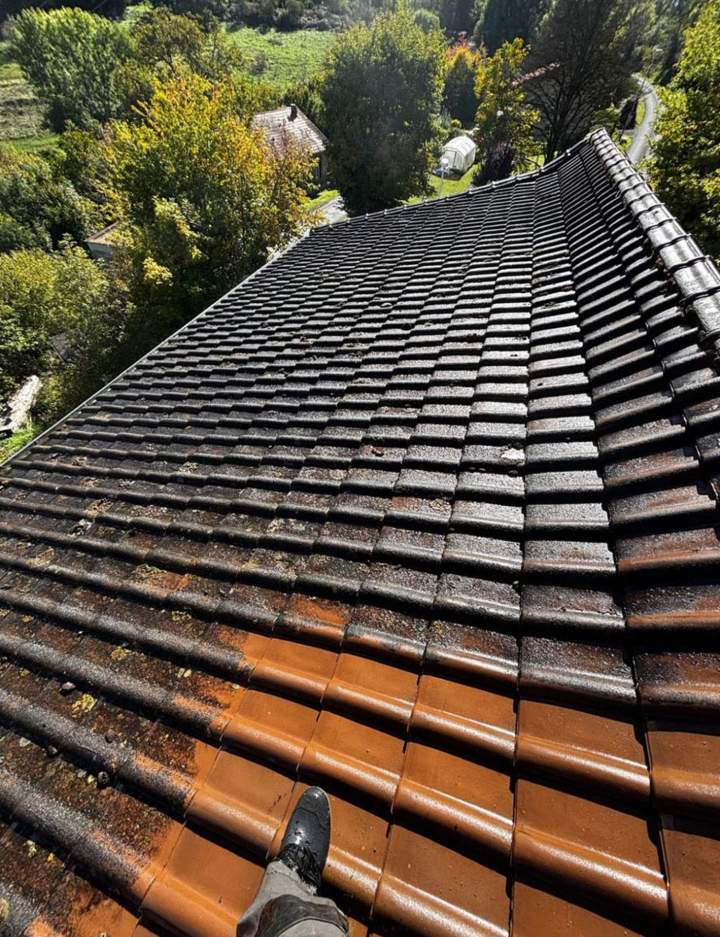 Nettoyage et démoussage toiture Vichy