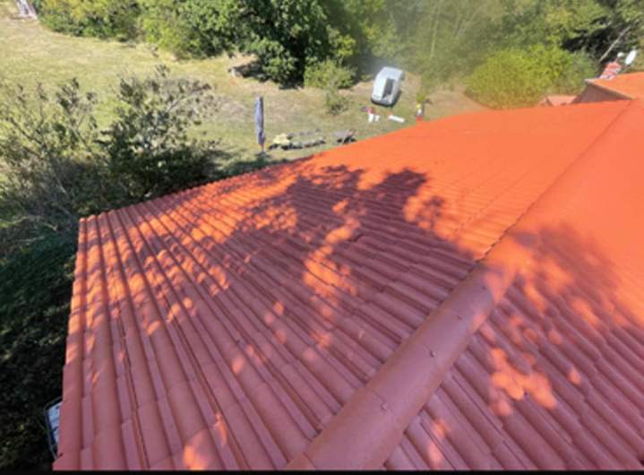 Soins de toiture Vichy